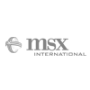 Digital Image Studios client logo MSX International